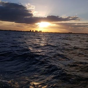 Meet your Posher, Clinton